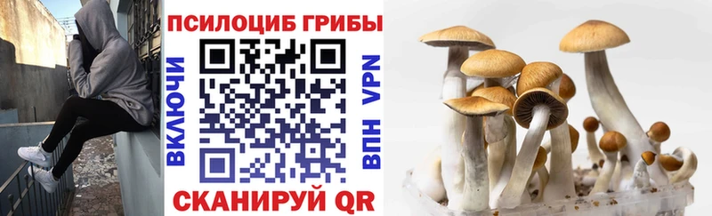 Купить закладки  Инза  Галлюциногенные грибы MAGIC MUSHROOMS 